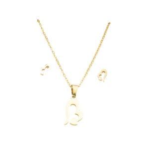 Γυναικείο Σετ κολιέ με σκουλαρίκια καρδιά χρυσό χρώμα ατσάλι σε συσκευασία δώρου syllogi ΦΝ-5325Women's steel Necklace Set with earrings heart in gold color in gift box syllogi ΦΝ-5325